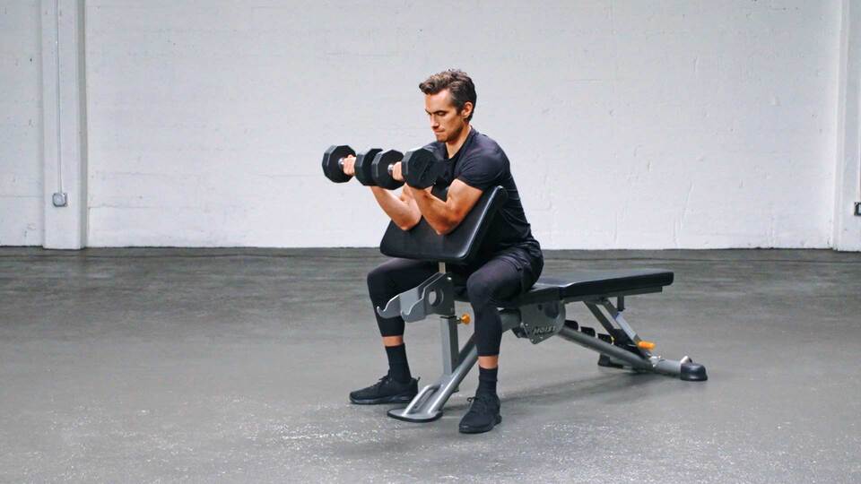 Dumbbell Preacher Curls Form Muscles Worked Target Weight Variations Dumbbell Preacher Curls Form Muscles Worked Target Weight Variations